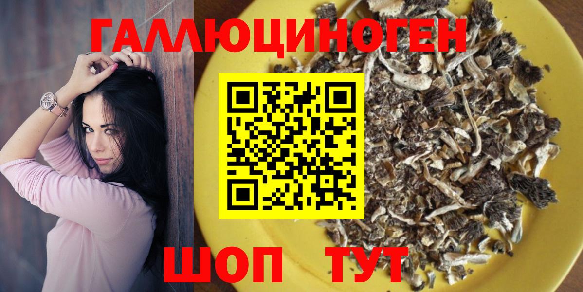 Псилоцибиновые грибы Psilocybine cubensis Лиски