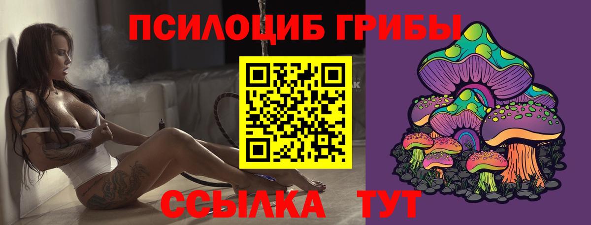 Галлюциногенные грибы Cubensis  Вход с VPN  Лиски 